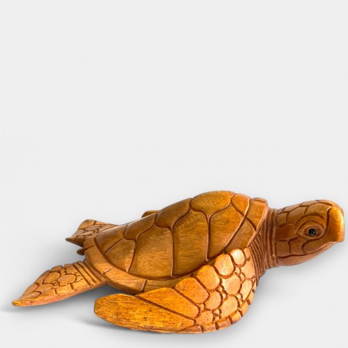 Schildkröte - ca. 25cm