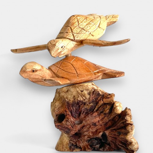 Schildkröten (2 Stück) auf Banyanfeige