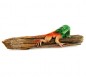 Leguan auf Holz - ca. 10 cm, liegend