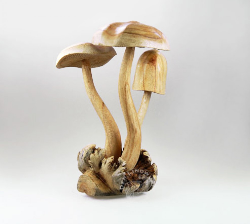 Pilze, groß - ca. 20 cm