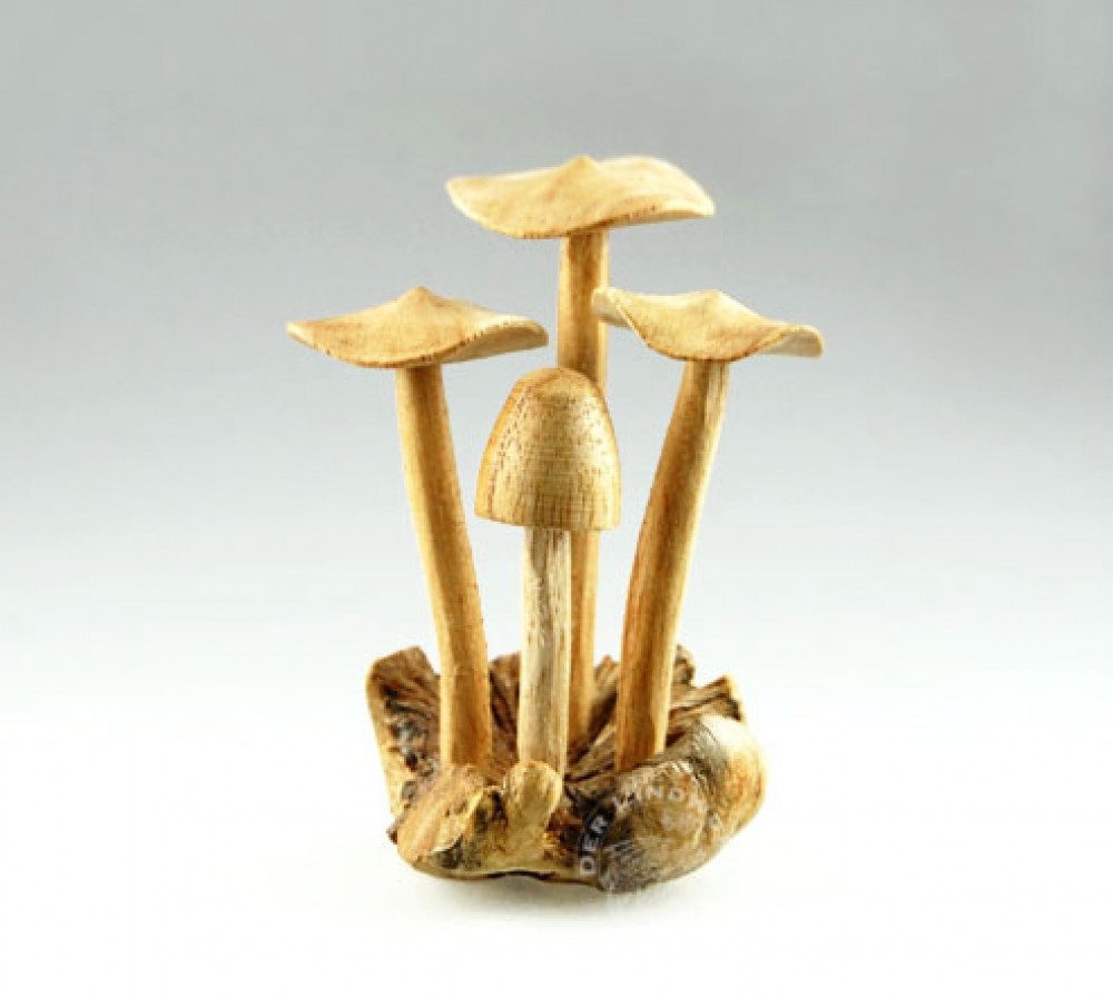 Pilze, klein - ca. 10 cm