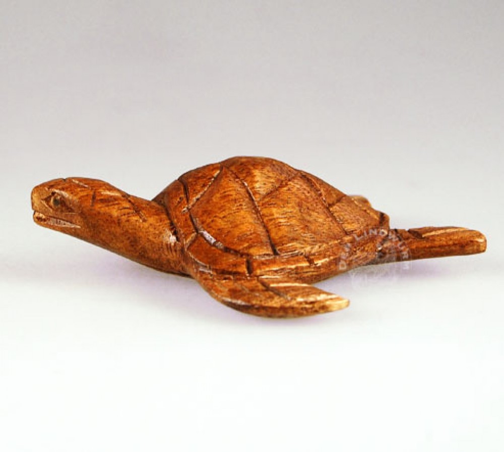 Wasserschildkröte, klein