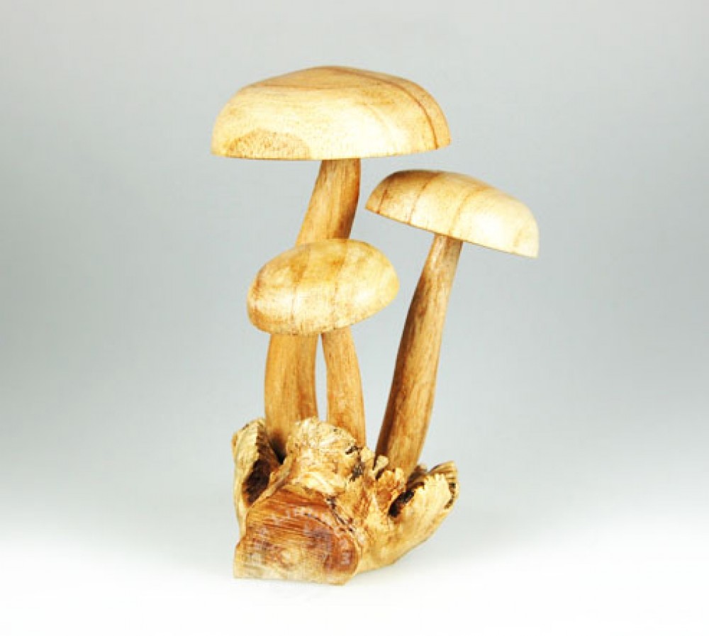 Pilzgruppe auf Würgfeigenholz, runde Kappe - ca. 7, 9, 12 cm